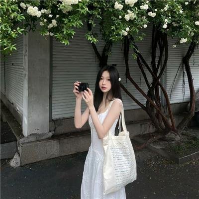 秘密使节