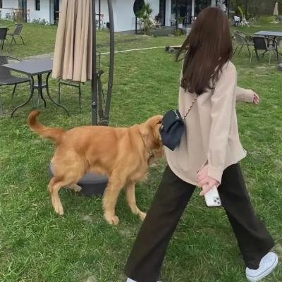幕布背后